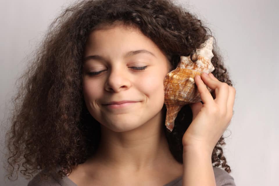 Image jeune coquillage oreille - grande