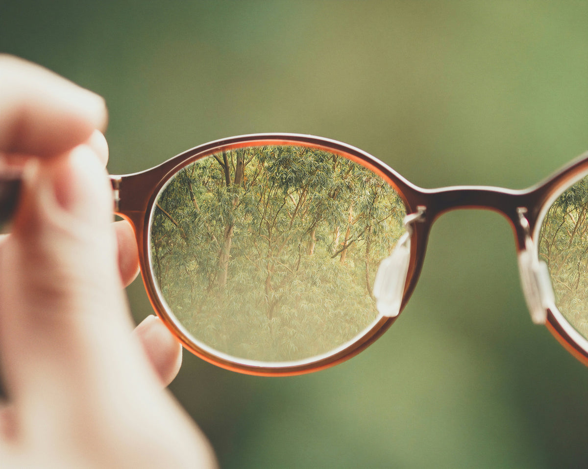 Lunette de vue