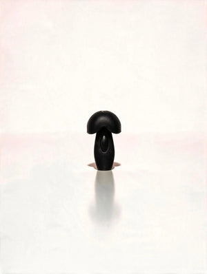 Protections auditives réutilisables Kesako x Happy Ears - vue 9